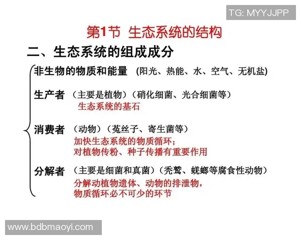探索莲足球菌的神秘世界及其在生态系统中的重要作用与潜在应用