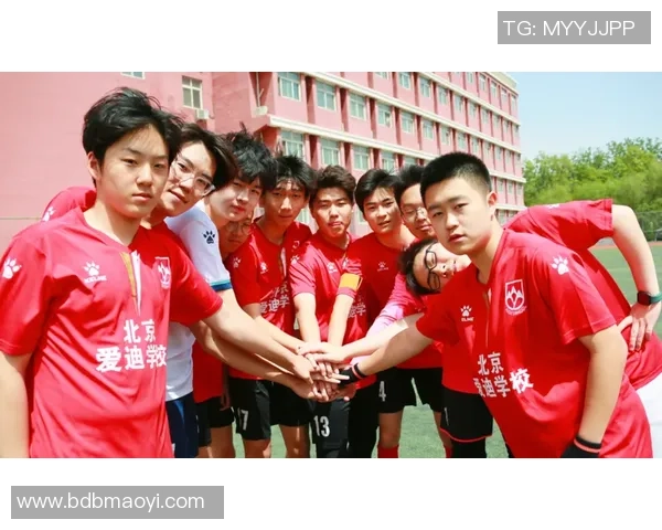 武林高手踢出传奇足球梦，少年逆袭成球场英雄的热血故事